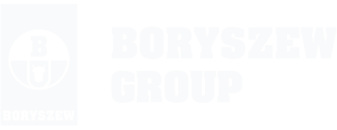 boryszew logo